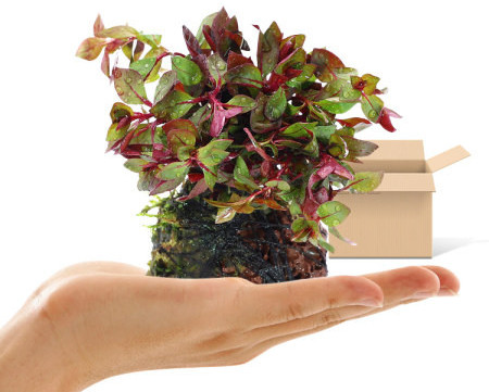 Decor artificial pentru acvariu