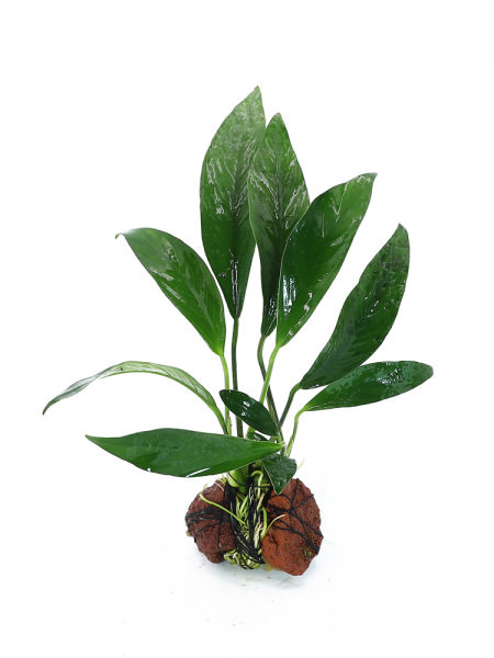 Decor artificial pentru acvariu