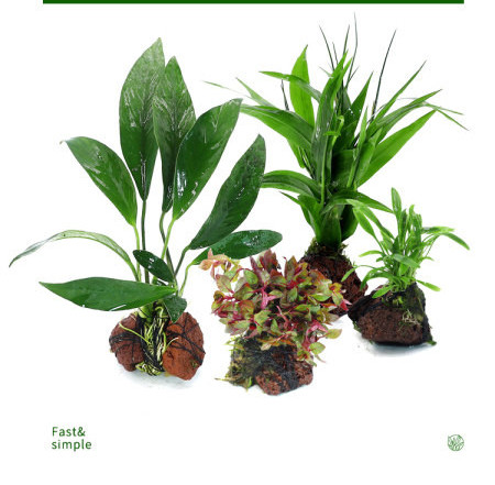 Umjetni ukras za akvarij - zelene biljke