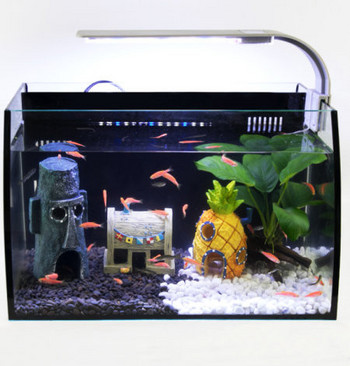 Декорация за аквариум - различни модели