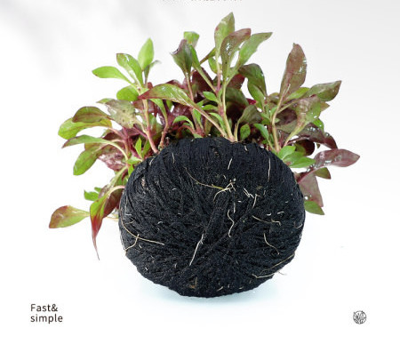 Akvaariumi kunstkaunistus - lilled ja muru