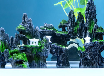 Декорация за аквариум в няколко модела