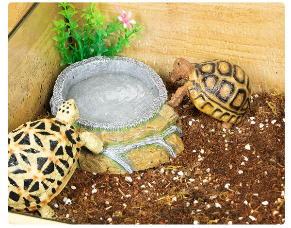 Decorat-bol pentru hrana pentru acvariu