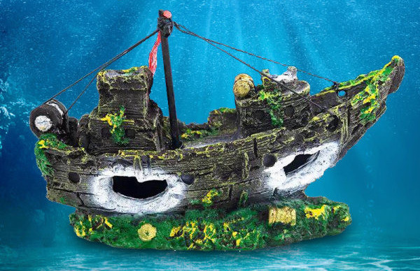 Decorarea acvariului - mai multe modele