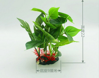 Akvaariumi kaunistamine - kunsttaimed