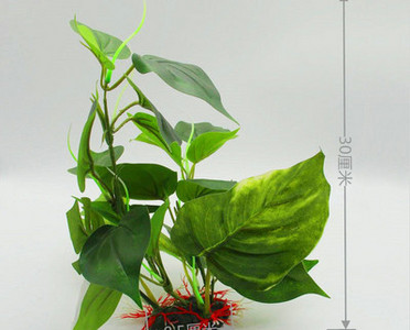 Akvaariumi kaunistamine - kunsttaimed