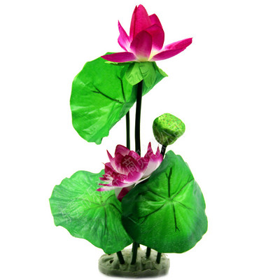 Akvaariumi kaunistamine - kunsttaimed