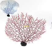 Puude kaunistamine akvaariumi jaoks