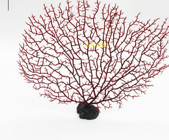 Puude kaunistamine akvaariumi jaoks