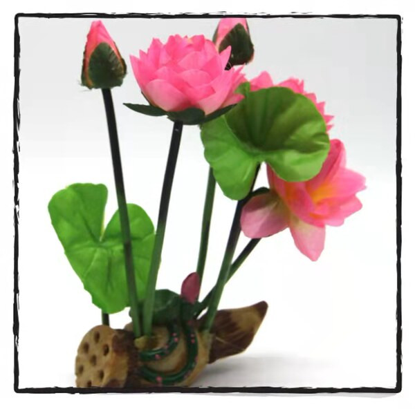 Διακόσμηση ενυδρείου - φυτό λωτού