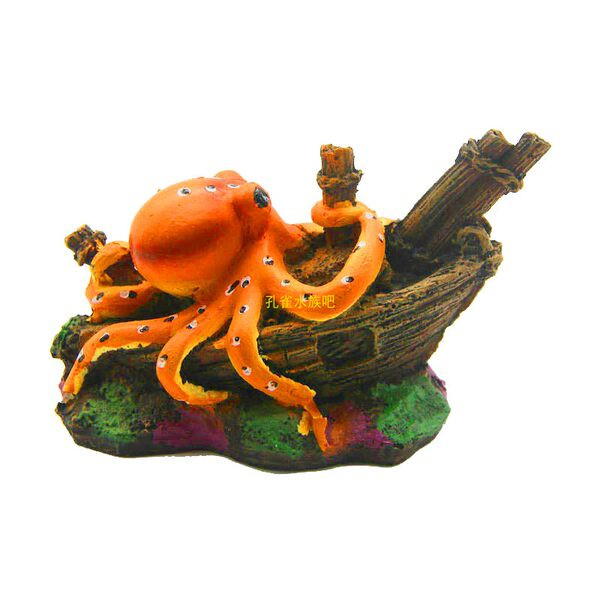 Decorarea acvariului - două modele