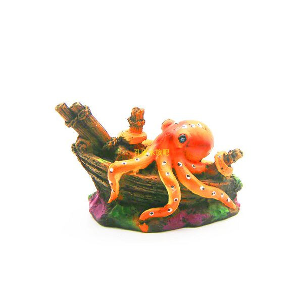 Decorarea acvariului - două modele