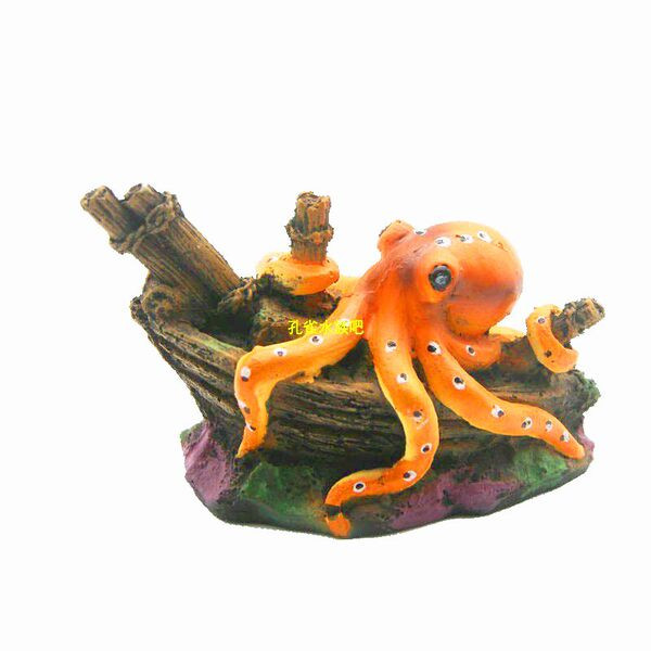 Decorarea acvariului - două modele