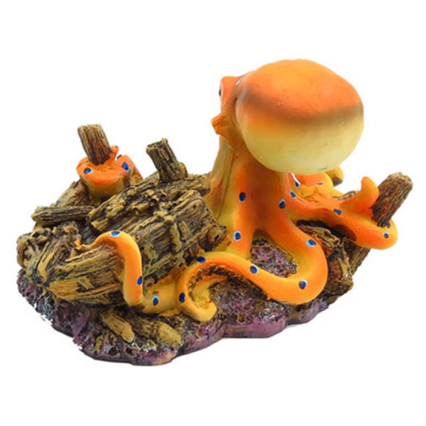 Akvaariumi kaunistus - kaheksajalg