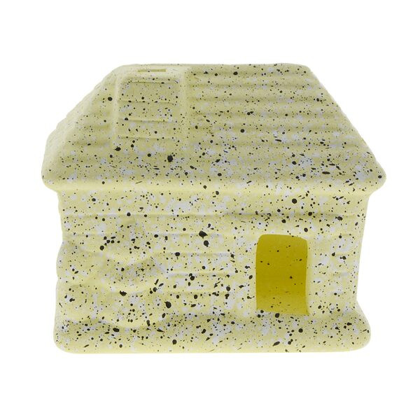 Decorarea casei acvariului