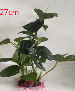 Plantă ornamentală pentru acvariu