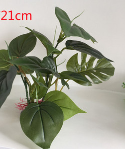 Plantă ornamentală pentru acvariu