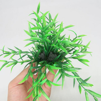 Διακοσμητικό πράσινο φυτό για ενυδρείο