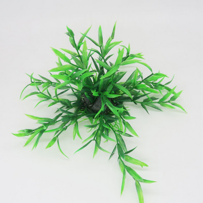 Διακοσμητικό πράσινο φυτό για ενυδρείο