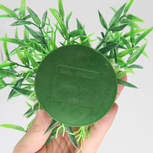 Planta verde ornamentala pentru acvariu