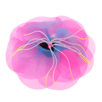 Dekoratiivne veetaim akvaariumi jaoks