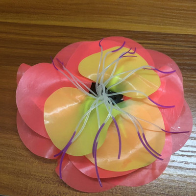 Dekoratiivne veetaim akvaariumi jaoks