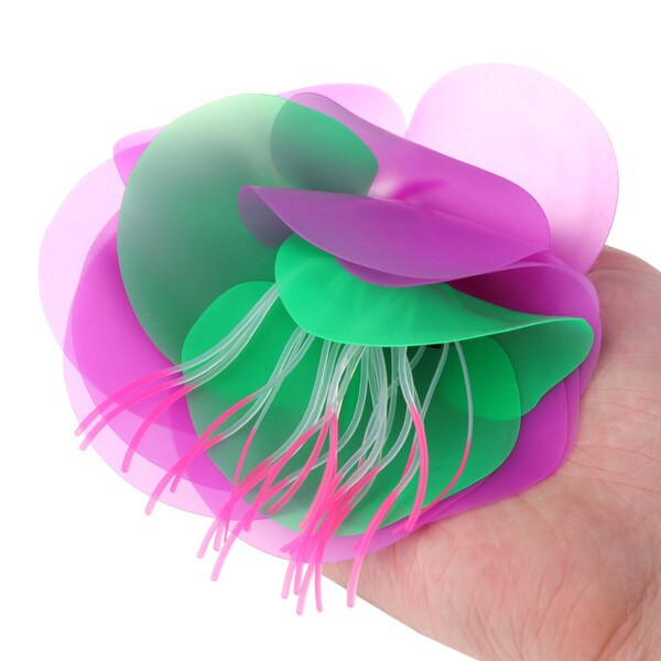 Dekoratiivne veetaim akvaariumi jaoks