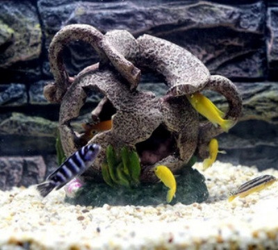 Decorare artificială pentru acvariu în diferite modele