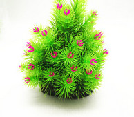 Διακοσμητικό πράσινο φυτό για ενυδρείο