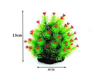 Διακοσμητικό πράσινο φυτό για ενυδρείο