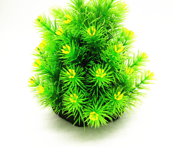 Διακοσμητικό πράσινο φυτό για ενυδρείο