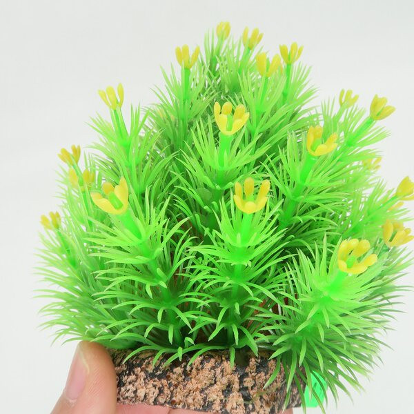 Διακοσμητικό πράσινο φυτό για ενυδρείο