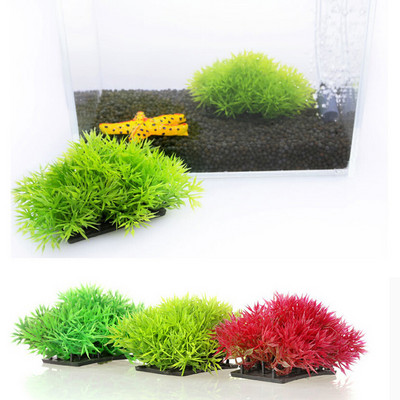 Декоративна цветна трева за аквариум