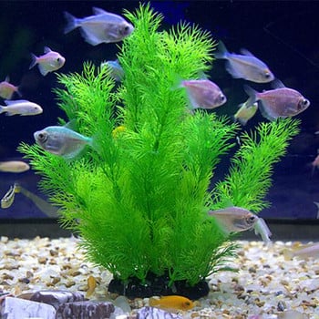 Декоративни растения подходящ за аквариум 