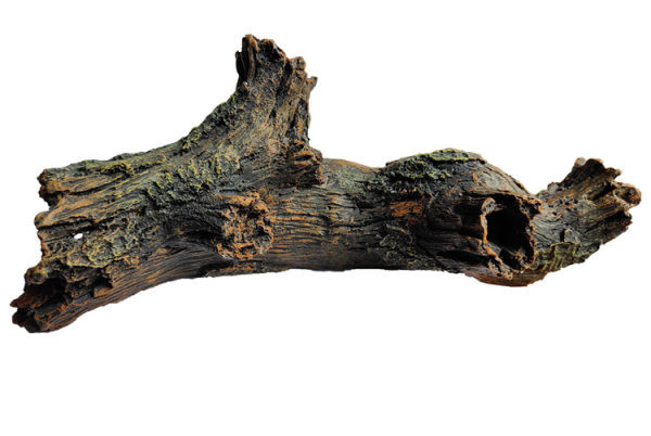 Akvārija dekorēšana dažādi modeļi