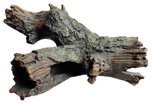 Akvārija dekorēšana dažādi modeļi