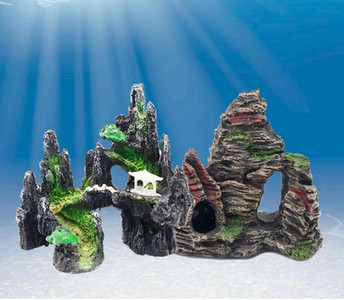 Akvariumo apdaila – keli modeliai