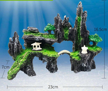 Akvariumo apdaila – keli modeliai