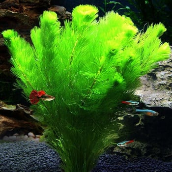 Изкуствена зелена декорация за аквариум