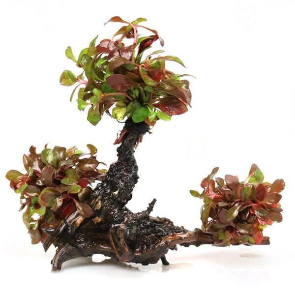 Τεχνητή πράσινη διακόσμηση για το ενυδρείο