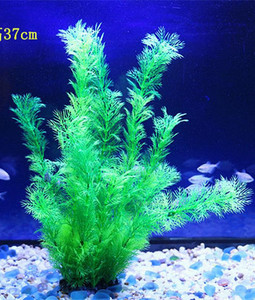 Akvaariumi dekoratiivtaim - mitu mudelit