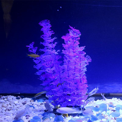 Akvaariumi dekoratiivtaim - mitu mudelit