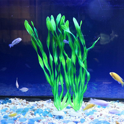 Akvaariumi dekoratiivtaim - mitu mudelit