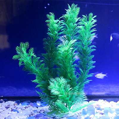Akvaariumi dekoratiivtaim - mitu mudelit
