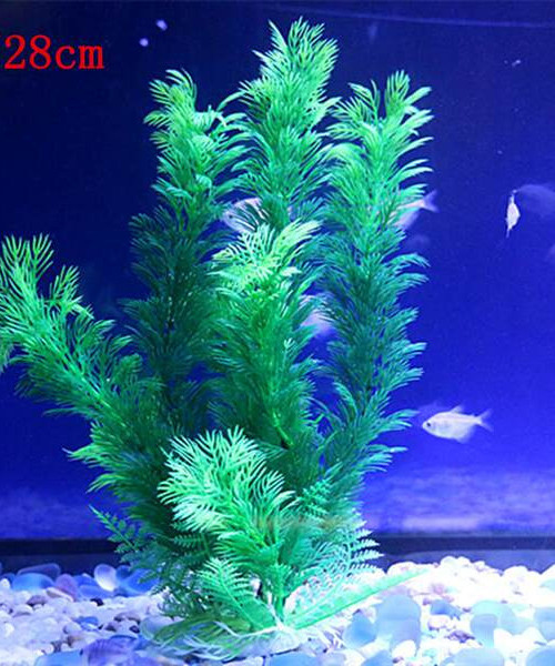 Akvaariumi dekoratiivtaim - mitu mudelit