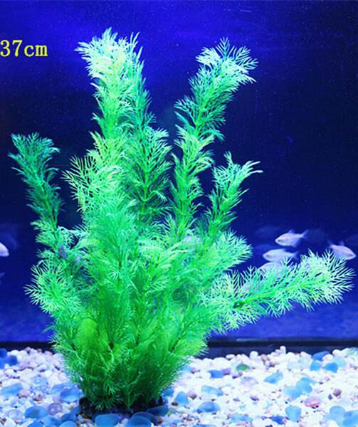 Akvaariumi dekoratiivtaim - mitu mudelit