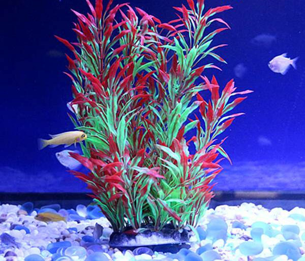 Akvaariumi dekoratiivtaim - mitu mudelit