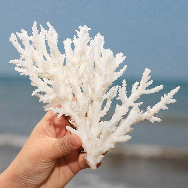 Decoratiuni pentru acvariu - mai multe modele