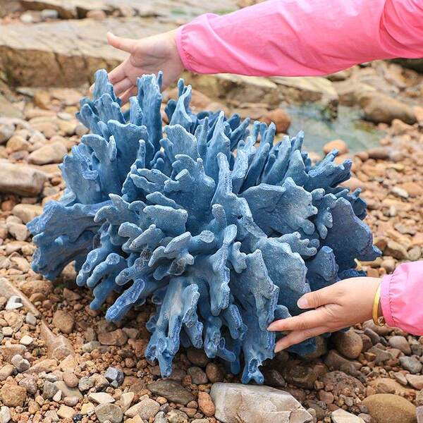 Decoratiuni pentru acvariu - mai multe modele