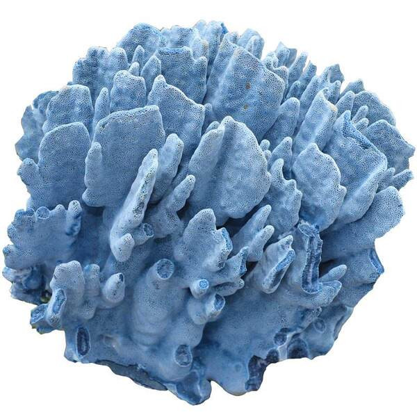 Decoratiuni pentru acvariu - mai multe modele